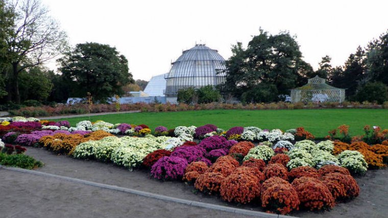 Jardin et parterre de fleurs