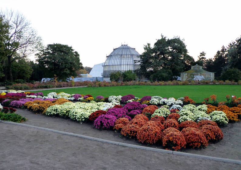 Jardin et parterre de fleurs